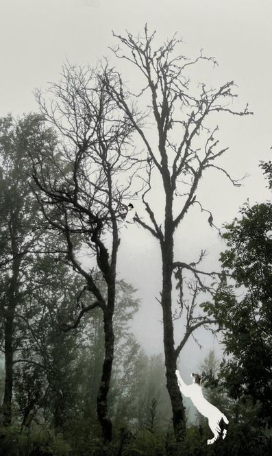 Hovedbilde Every good tree bears fruit, but a bad tree bears ...