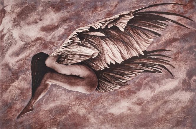 Hovedbilde Purple morfo 20/35