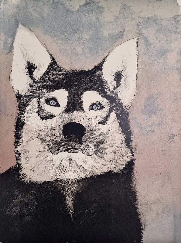 Årvåken veteran 49/50