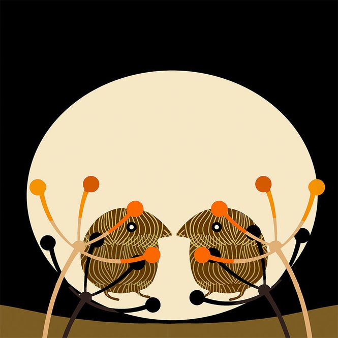 Hovedbilde Sommersamler-3 25/100