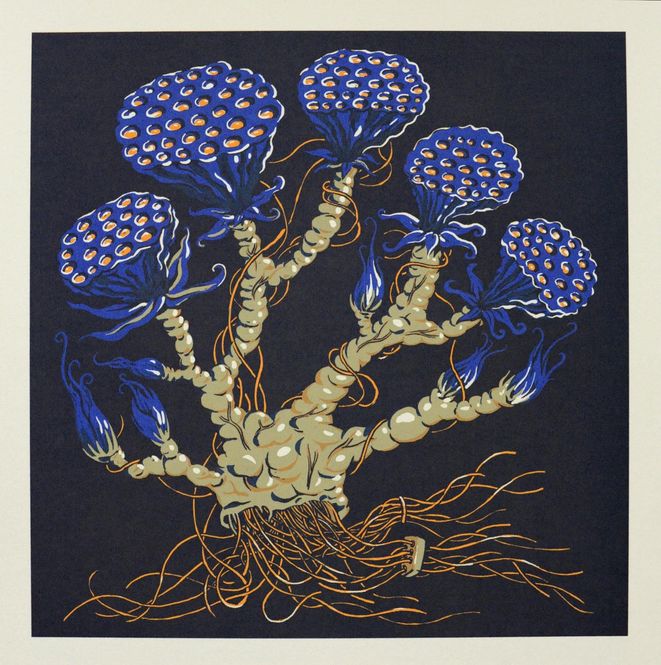 Hovedbilde Lotus fume 30/60