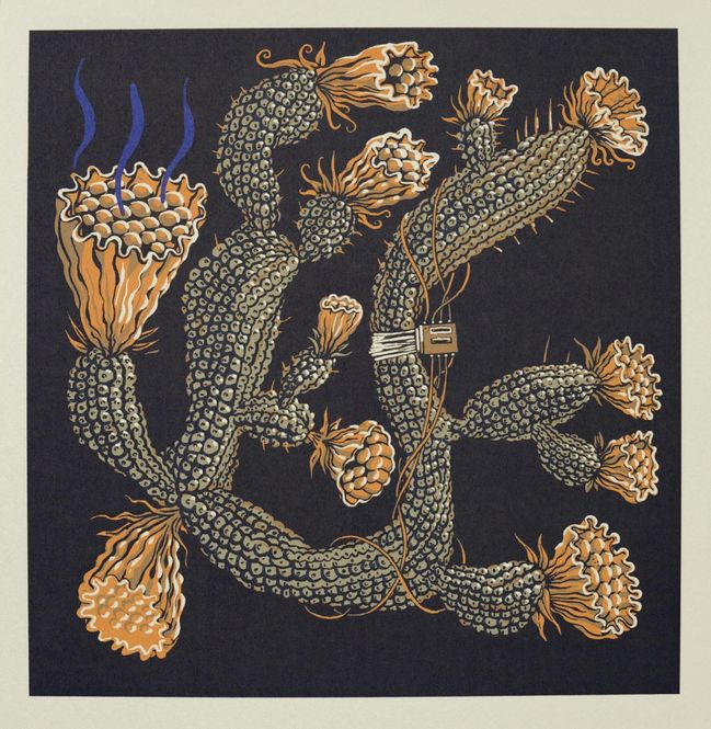 Hovedbilde Cactus delight 23/60