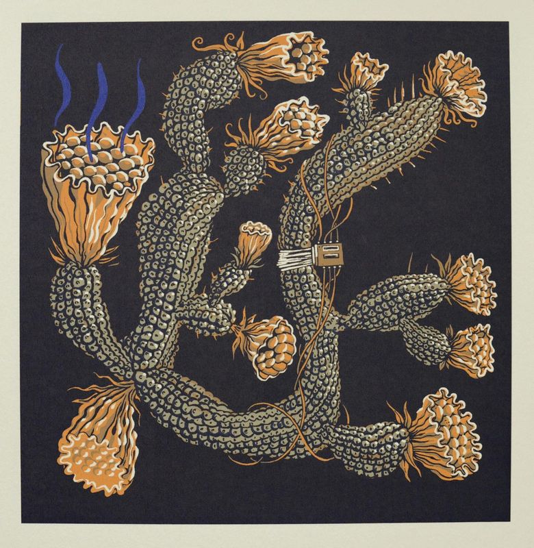 Cactus delight 23/60