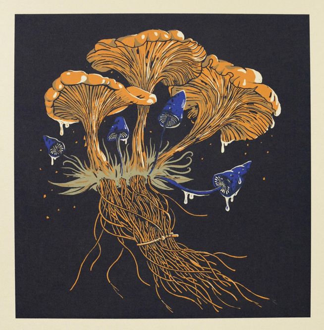 Hovedbilde Chanterelle clutter 17/60