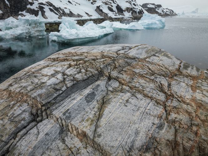 Hovedbilde Decomposed 11115 1/10