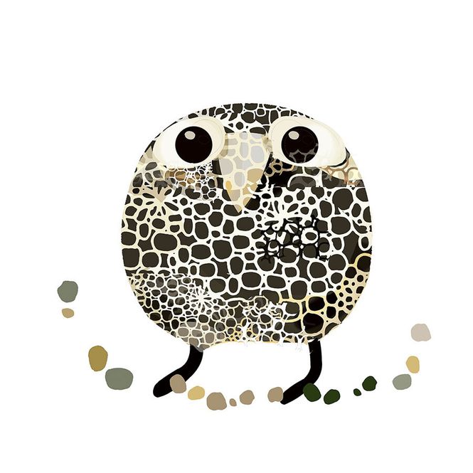 Hovedbilde Fjærefly variasjon 40/100