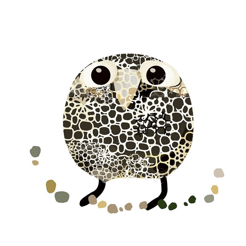 Fjærefly variasjon 40/100