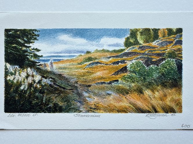 Hovedbilde Sommerminne 25/200