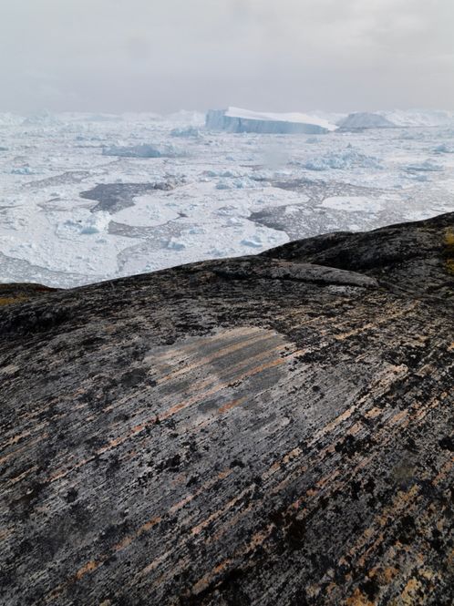 Hovedbilde Decomposed 1/10