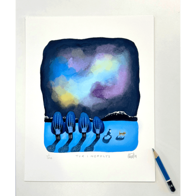 Hovedbilde Tur i nordlys 62/100