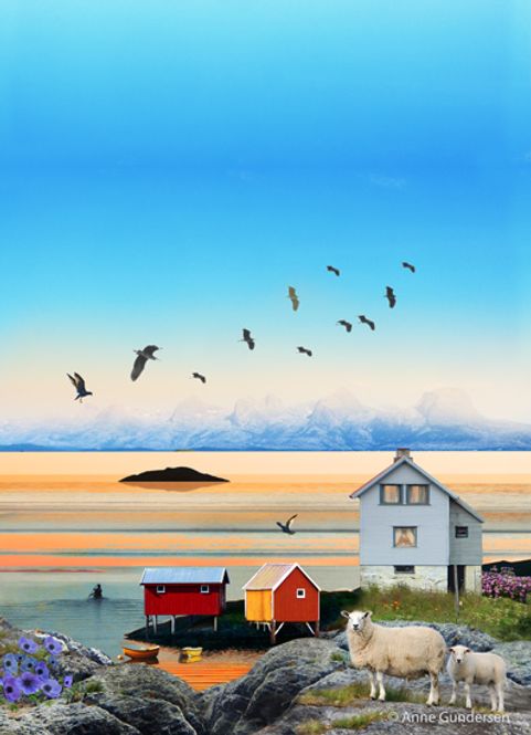 Hovedbilde Blå anemone 11/30