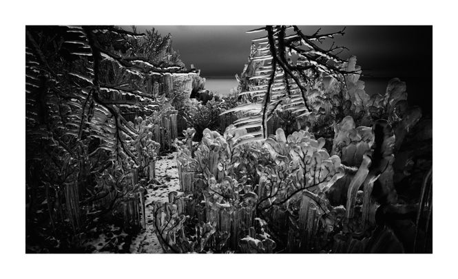 Hovedbilde Ishagen BW