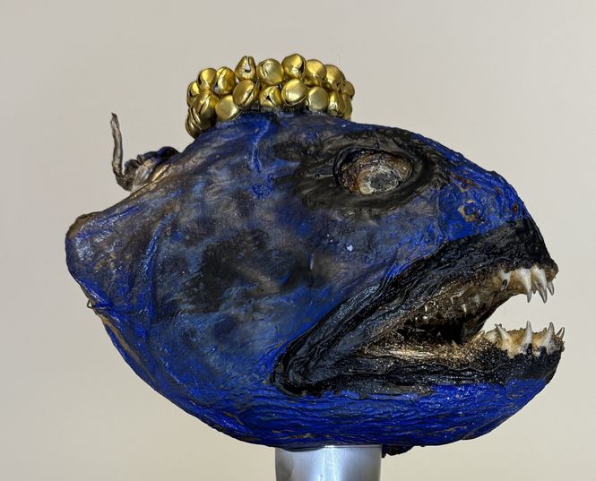 Hovedbilde Steinbit, mellom