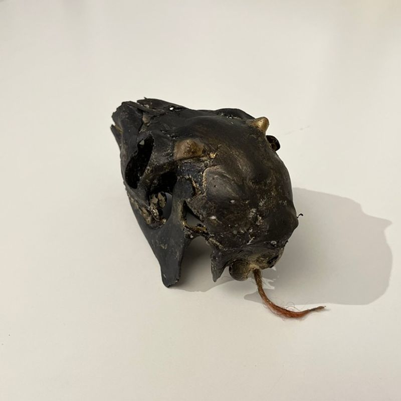 Hjort - liten 2
